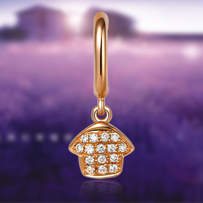 ��������ϵ��009